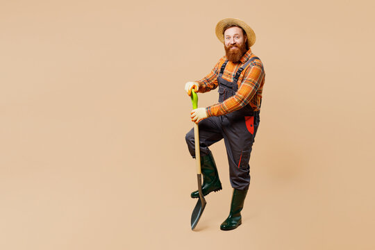 Full body smiling young bearded man wears straw hat overalls work in garden hold shovel digging look camera isolated on plain pastel light beige color background studio portrait. Plant caring concept.