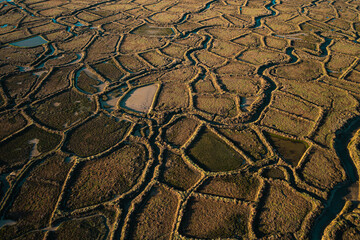 Magnifique mélange de couleurs et de textures abstraites créés par la végétation à la surface...