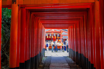 Fototapeta premium 伏見稲荷大社