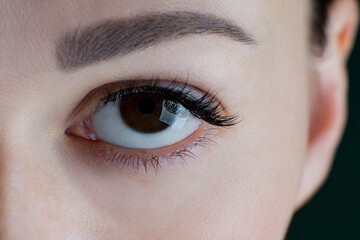 Close-up of brown eye with long false eyelashes, black eyeliner, flawless skin, eyebrow of unrecognizable young woman looking at camera. Macro. Eyelash extension, beauty procedures. Selective focus.