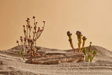 The landscape is inspired by the desert with types of flower, trees and sand. Empty area on the stone for cosmetic product display © Tuan  Nguyen 
