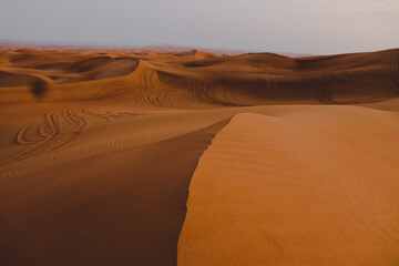 Sand Dunes in the Desert