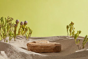Natural background with brown stone as a blank pedestal for product display, green trees, cactus and sand in the desert, on green background. Minimal concept, front view.