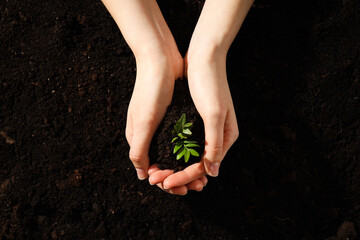 Earth Day, Environment concept and Eco concept