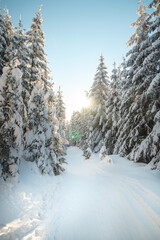 Walk through a nature reserve during the winter season at sunrise in Beskydy mountains, Czech republic. Breathtaking view of the golden rays of the sun illuminating the footpath