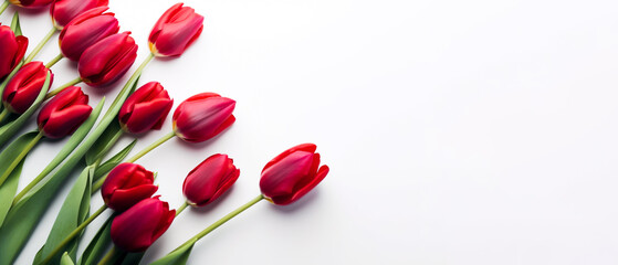 Fresh Red Tulips, a symbol of spring and Easter. Isolated on white background with copy space. Illustrative Generative Ai.	