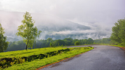 Fototapeta na wymiar road winds through the foggy countryside, revealing a breathtaking landscape of green hills and misty mountains. the soft light of morning illuminates the scenery