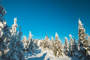 Nature reserve around Lysa Hora under a blanket of snow overlooking the valley on the morning...