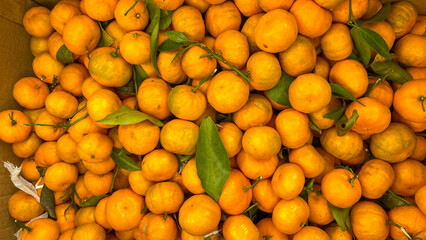 Stack of orange tangerines on market stall. Close up shot of mandarin oranges