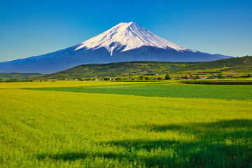 オーストリアの美しい田園風景と富士山合成