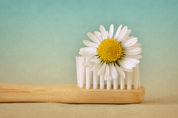 Close-up of bamboo toothbrush with daisy - Concept of ecology and eco-friendy toothbrush