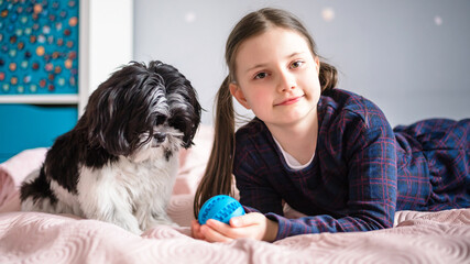 A junior schoolgirl and a shihtzu puppy. Little girl with her dog