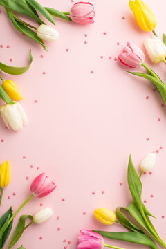 8-march decorations concept. Top view vertical photo of yellow pink white tulips and sprinkles on isolated pastel pink background with empty space in the middle