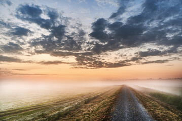 A road among meadows in the fog under a slightly cloudy sky in the morning.