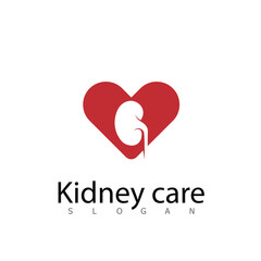 Kidney icon vector. Urology logo design template.