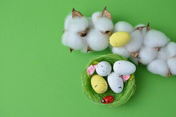 Easter eggs are yellow and green in a green nest. Cotton. Green background.