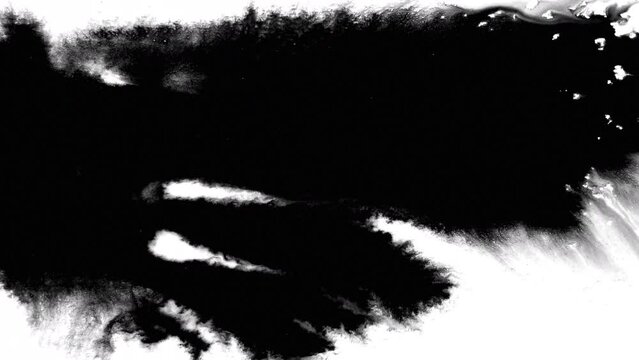 Black Ink drops splash spreads splat ink drops transition abstract grunge background	
