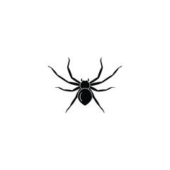 Spider icon isolated vector graphics