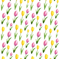 Floral watercolor seamless pattern with tulips. On a white background. Spring flowers.