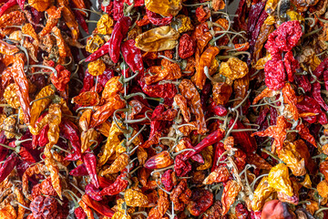 dried chili peppers