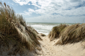 Le Touquet-Paris-plage, Hauts-de-France - France