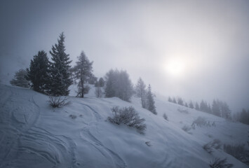 Fototapeta na wymiar Skiing in Italy, Dolomites, Madonna di Campiglio, Pinzolo. Cloudy winter day in January 2023