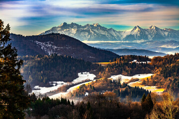 Widok na Tatry Bielskie i Pieniny z Palenicy, zimowy krajobraz górski z ośnieżonymi szczytami na horyzoncie. - obrazy, fototapety, plakaty