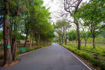 Long walking and running paths shaded by mature trees in the park