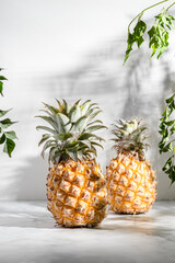 pineapple on a light table