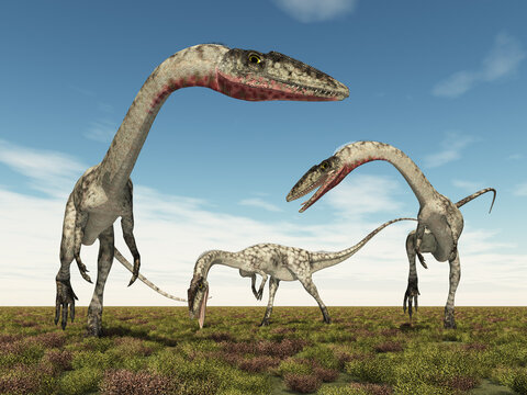 Dinosaurier Coelophysis in einer Landschaft