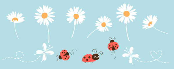 Set of daisy flower, butterflies with dots line and ladybird cartoons on blue background vector illustration. © Thanawat