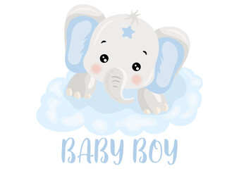 Fototapeta premium Baby boy blue cute elephant