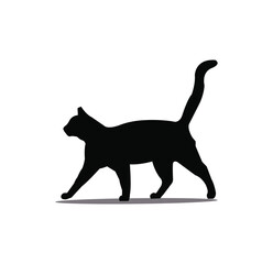 Black cat looks very nice