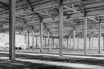 interiors and machinery, plants retaking possession of a disused abandoned industry, former cotton mill, industrial production
