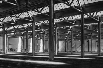 interiors and machinery, plants retaking possession of a disused abandoned industry, former cotton...