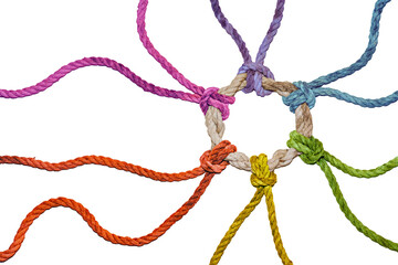 Rustic ropes in rainbow colors from different directions join together in a knotted ring, symbol of diversity, solidarity and cohesion, isolated on a transparent background - obrazy, fototapety, plakaty