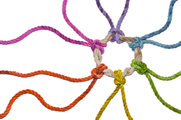Rustic ropes in rainbow colors from different directions join together in a knotted ring, symbol of diversity, solidarity and cohesion, isolated on a transparent background
