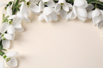 Beautiful snowdrops on beige background, closeup. Space for text