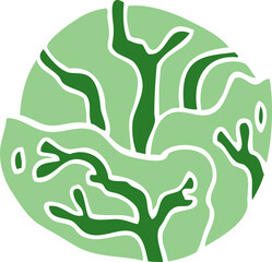 cartoon doodle cabbage