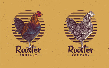 Fototapeta na wymiar Rooster, poultry vintage logo, retro print, poster for Butchery meat shop with text typography