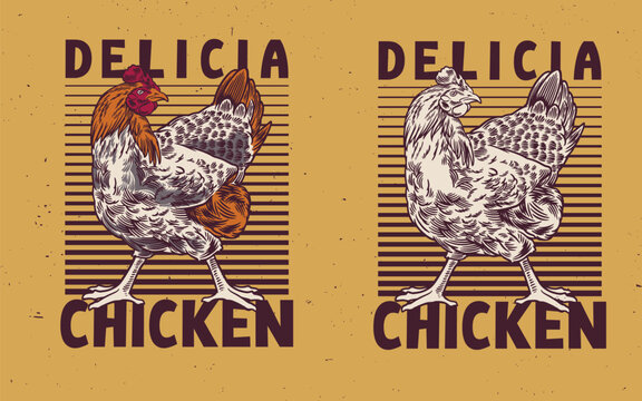 Rooster, poultry vintage logo, retro print, poster for Butchery meat shop with text typography