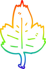 rainbow gradient line drawing cartoon leaf