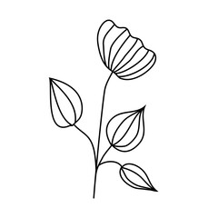 Obraz premium Vector linear hand drawn decorative flowers black and white botanical illustrations. PNG