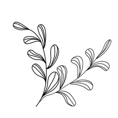 Vector linear hand drawn decorative leaves, black and white botanical illustrations. PNG