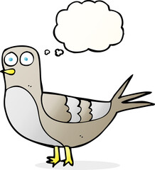 thought bubble cartoon pigeon
