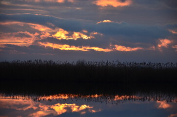 Fototapeta premium fire in the sky