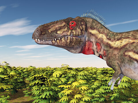 Dinosaurier Nanotyrannus