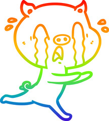 rainbow gradient line drawing crying pig cartoon