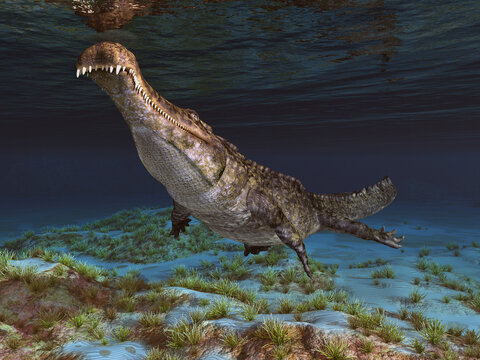 Prähistorisches Krokodil Sarcosuchus Unterwasser