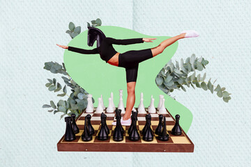 Collage minimal artwork photo of headless horse figure game player chess board woman aerobics hobby...